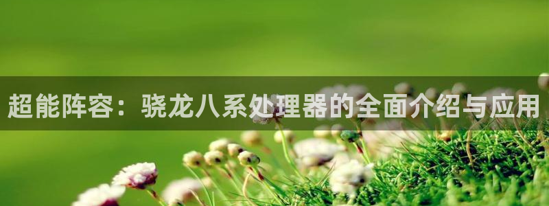 蓝图娱乐.ccm官网版：超能阵容：骁龙八系处理器的全面介绍与应用