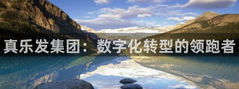 蓝图娱乐网页版登：真乐发集团：数字化转型的领跑者