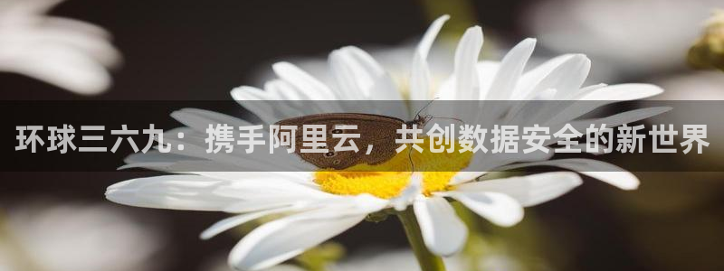 蓝图娱乐app下载安装：环球三六九：携手阿里云，共创数据安全的新世界