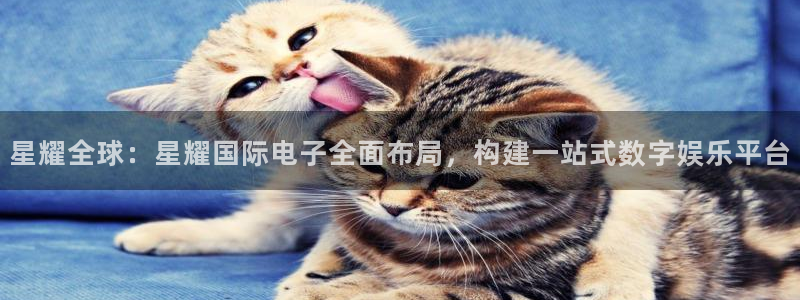 蓝图娱乐登陆：星耀全球：星耀国际电子全面布局，构建一站式数字娱乐平台