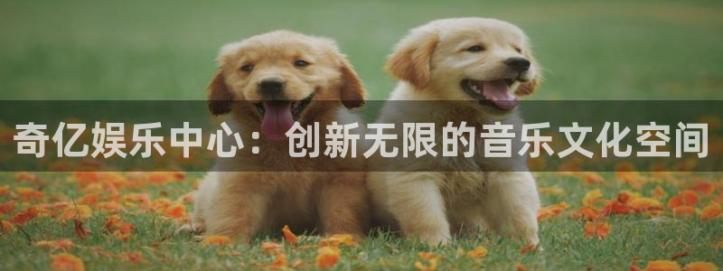 蓝图娱乐赏金女王