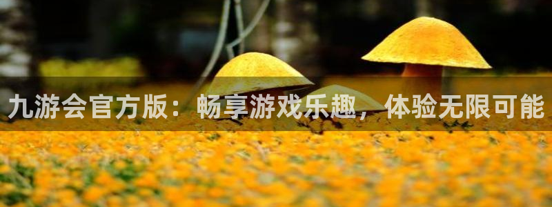 蓝图娱乐app下载