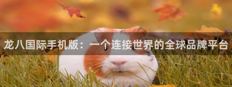 壹号大舞台28国际大舞台