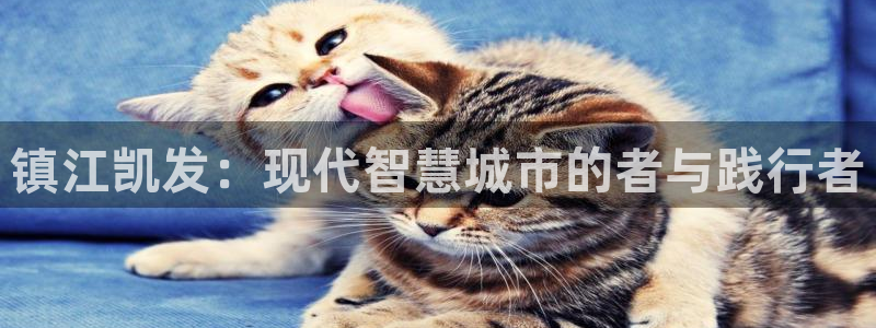 蓝图娱乐手机版下载