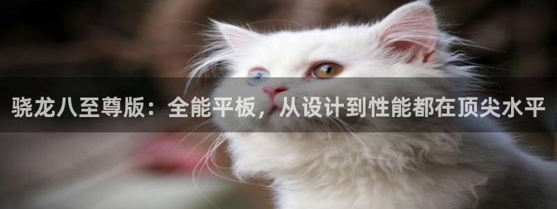 蓝图娱乐.ccmpc正版官网版下载
