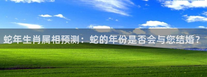蓝图娱乐ccm赏金女王