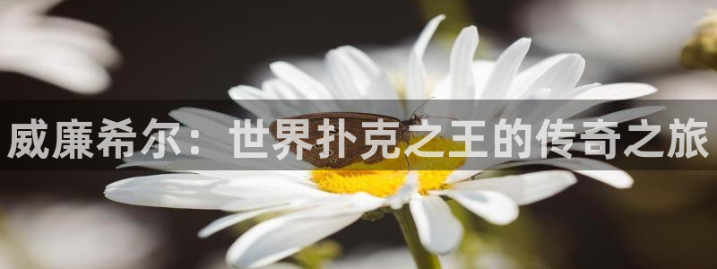 壹号大舞台下载