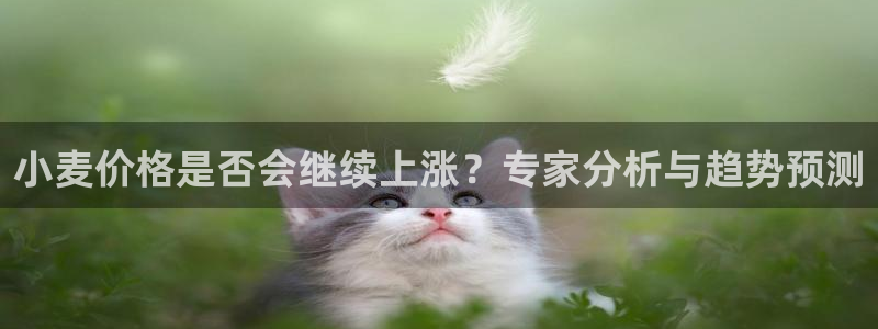蓝图娱乐电子娱乐官网下载