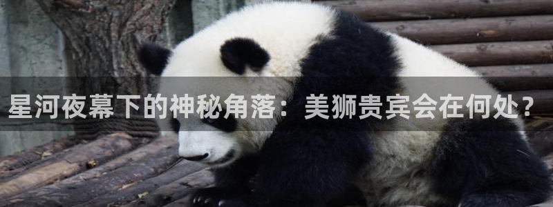 壹号app下载官方网站