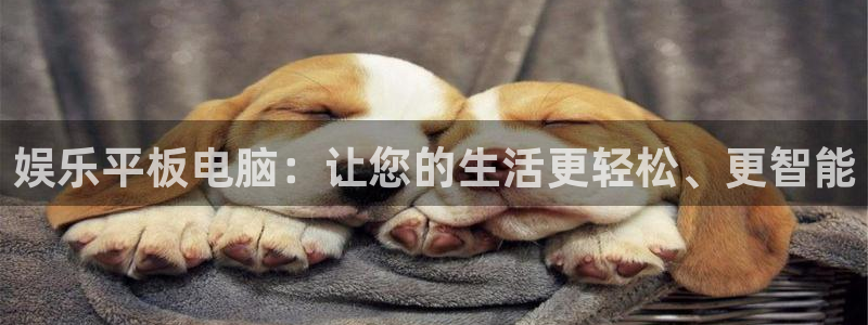 蓝图娱乐,apk