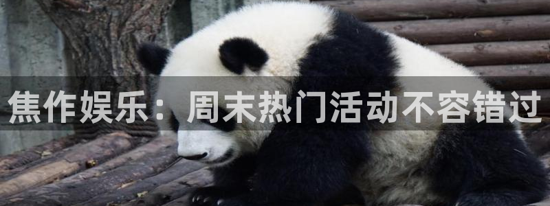 壹号平台注册链接官网下载