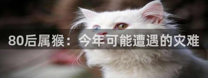 蓝图娱乐,apk