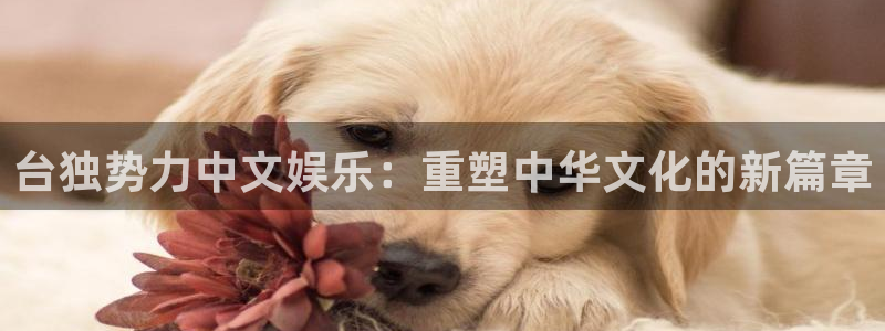 南宫蓝图娱乐官网下载链接