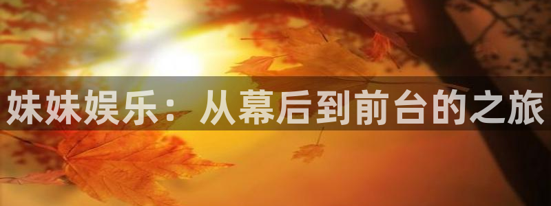 壹号注册入口app下载
