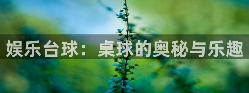 蓝图娱乐官网版下载