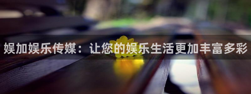 蓝图娱乐.ccmpc正版
