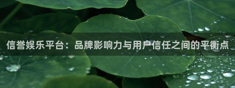 电子游戏蓝图娱乐