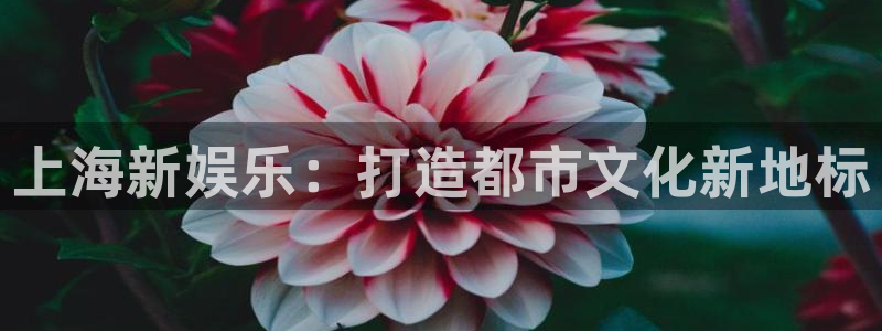 壹号大舞台怎么下载