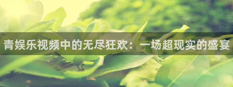 蓝图娱乐麻将胡了