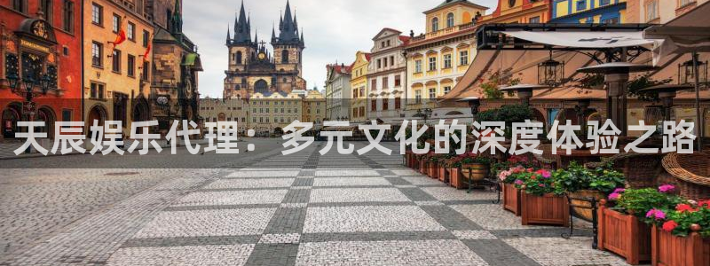 蓝图娱乐com：天辰娱乐代理：多元文化的深度体验之路