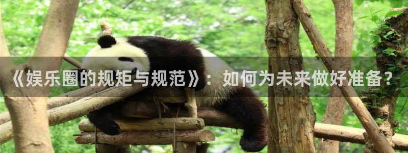 蓝图娱乐app下载地址：《娱乐圈的规矩与规范》：如何为未来做好准备？