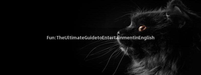 蓝图娱乐app：Fun:TheUltimateGuidetoEntertainmentinEnglish